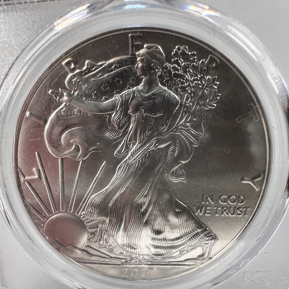 2017 (S) $1 Silver Eagle PCGS MS69 Premier Label Struck @ SF Mint "Near Perfect" - Picture 11 of 16